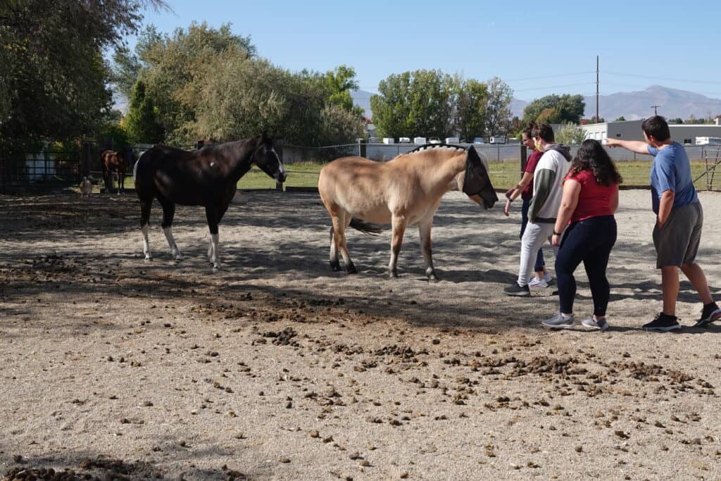 group of teenager walking up to two horses